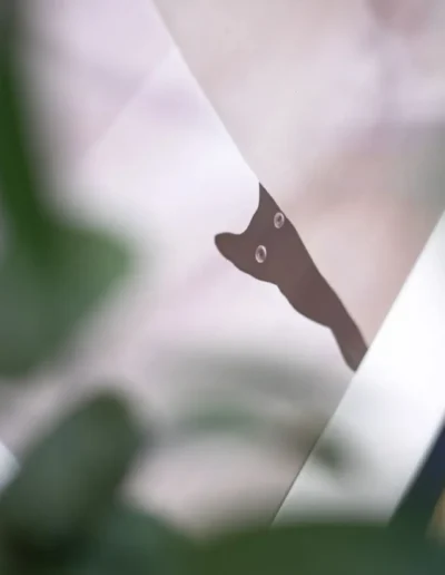 dekoráció home staging fekete macska kép